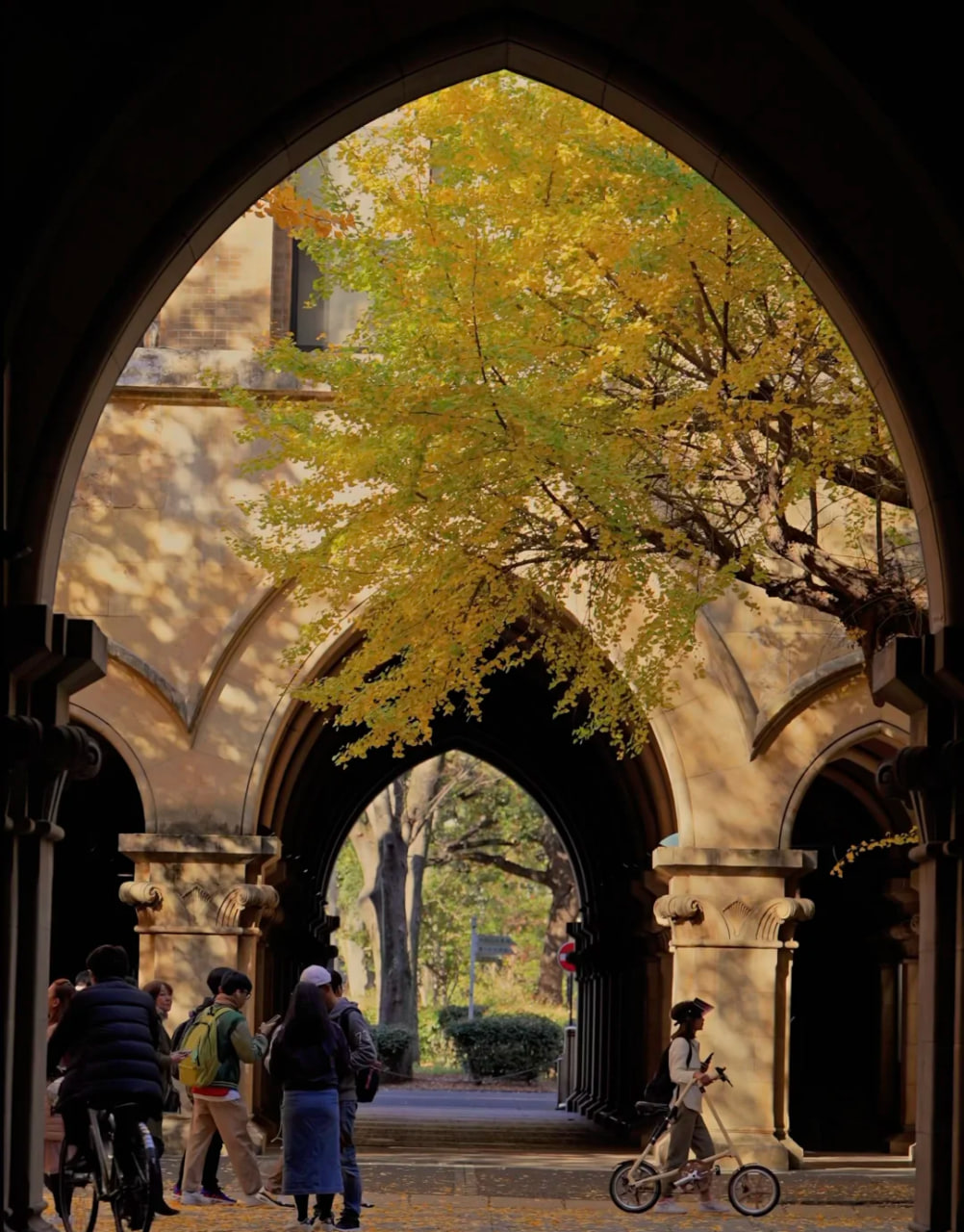 photo_2025-12-08_02-00-04 (2).jpg