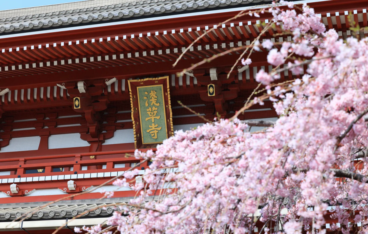 photo_2026-03-30_21-41-18 (2).jpg