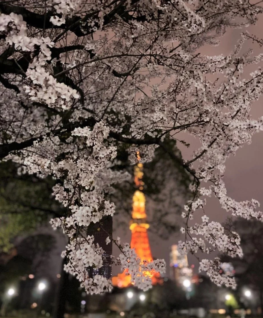 photo_2026-04-07_16-04-02 (2).jpg