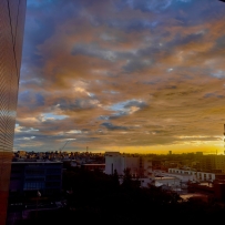 客人早晨拍的朝陽☀️ 「想讓靜香看看～」  上班來就看到這麼美的天空，心情也跟著變