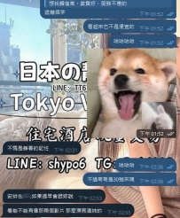 いつ日本に来ても大丈夫です😊 興味があれば、まずは気軽に静香に聞いてみてください