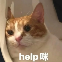 客人： 「除了胸小，真的很像🤣」  我： 「所以你的想法是換她嗎？」  客人： 「你每
