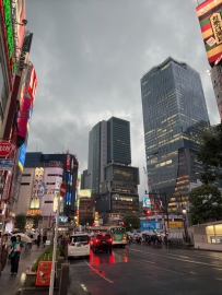 今天東京突遇大雨，有部分電車站出現積水、灌水的情況，也要留意電車延誤、停駛以及道