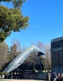 📍 上野公園 東京什麼時候下雪❄️❄️❄️ 白天好冷 晚上更冷 今天溫度1-8°C