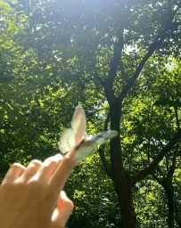 讓喜歡的事情成為生活 不問東西，順心而走，早安